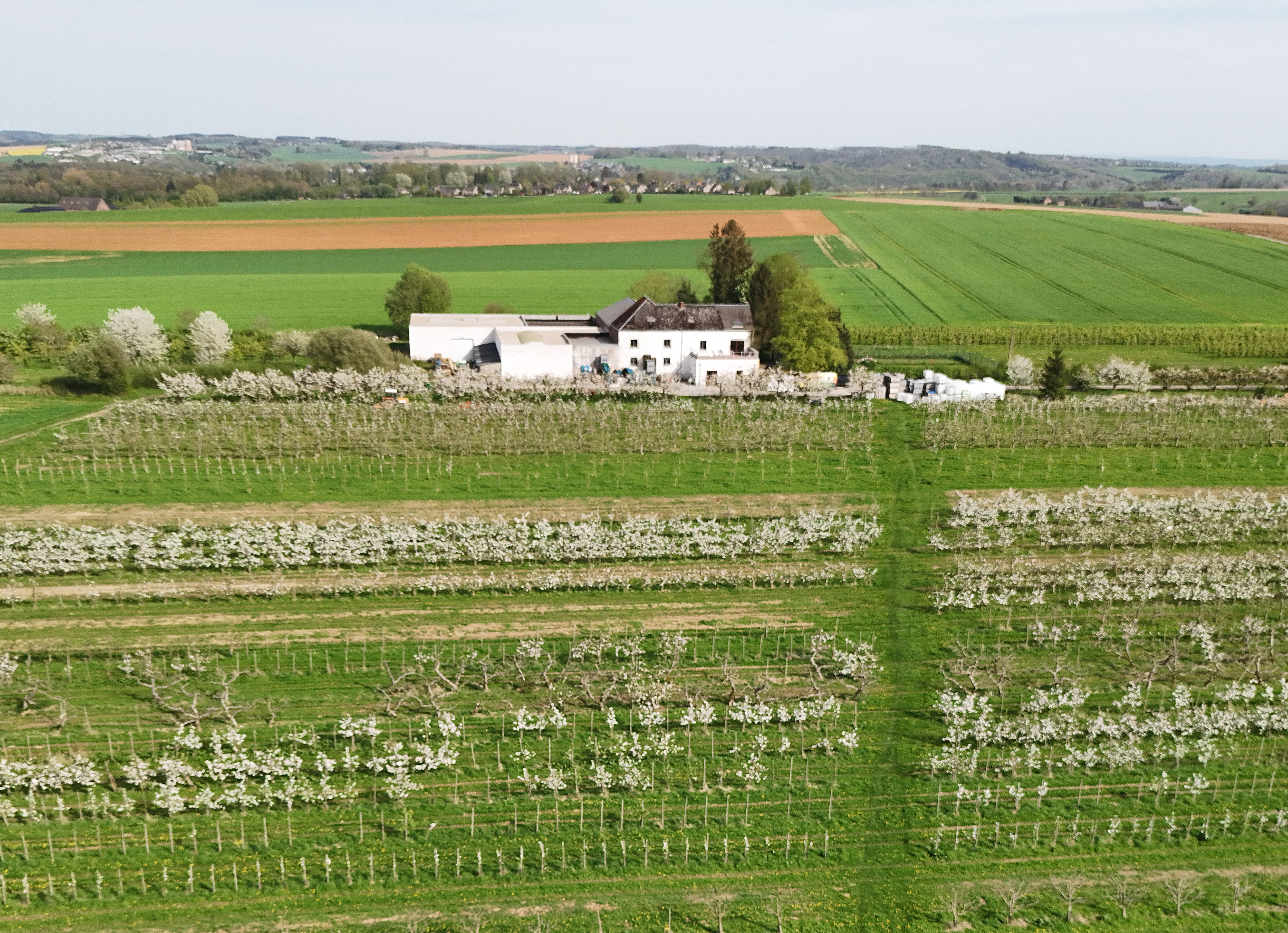 Verger Maison drone